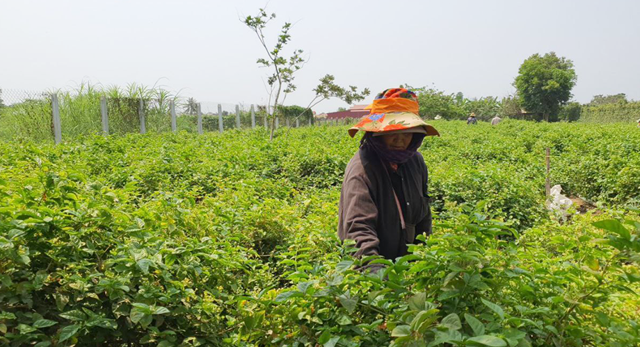 Turning $550 into a Thriving Trade with a Helping Hand from Microfinance