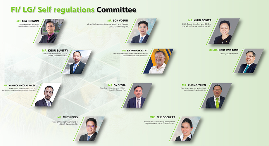 FI/ LG/ Self regulations Committee