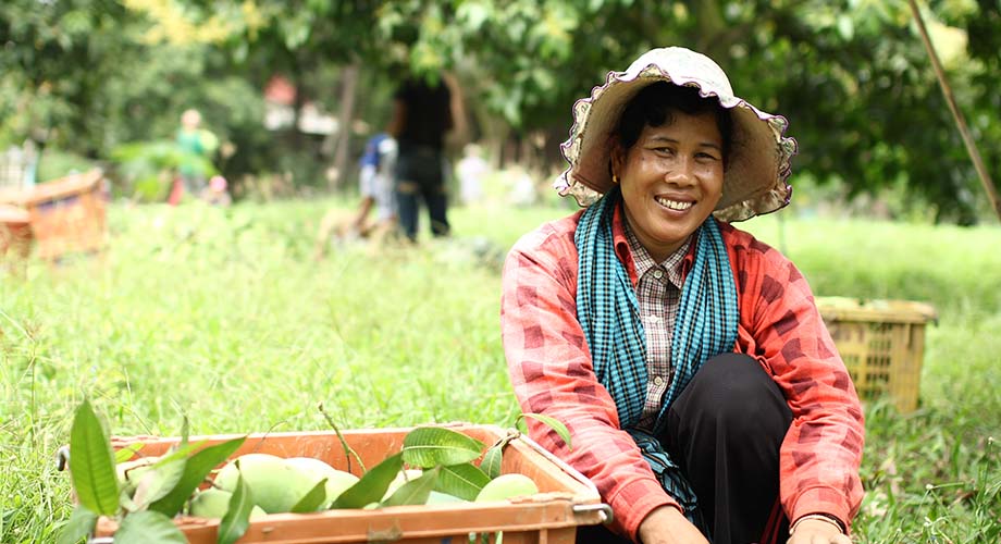 Other Client Protection Initiatives by the Cambodia Microfinance Association